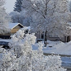 Meet your Posher, Roswitha